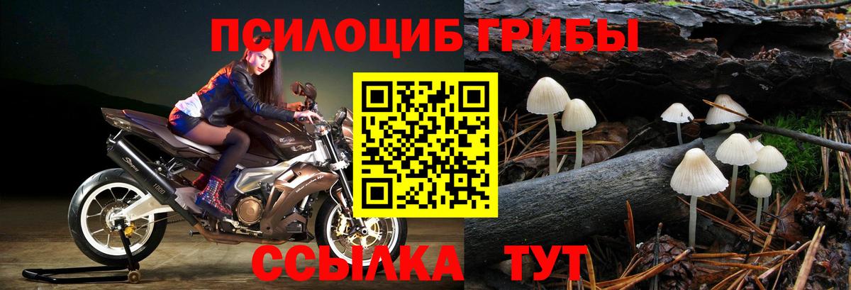Псилоцибиновые грибы прущие грибы  Псилоцибиновые грибы Psilocybe  Вход с VPN  Людиново 